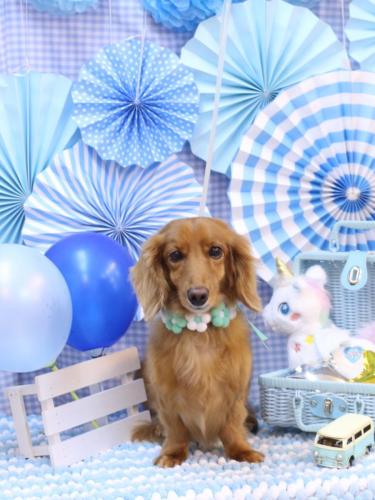 20231105しろちゃん